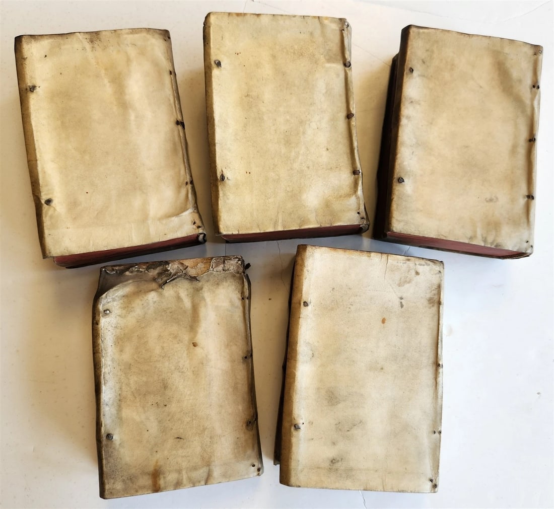 1565 PLINIUS encyclopaedia of natural history 5 VELLUM BOUND VOLUMES 16c ANTIQUE - 5