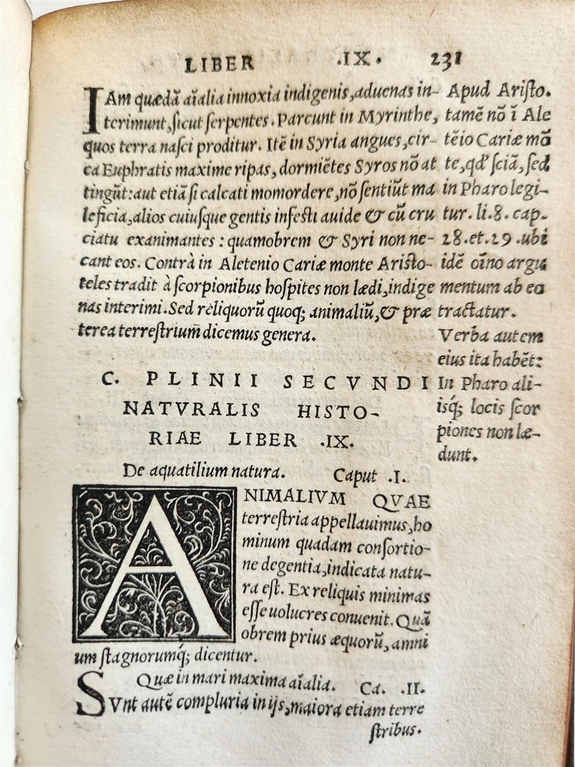 1565 PLINIUS encyclopaedia of natural history 5 VELLUM BOUND VOLUMES 16c ANTIQUE - 8