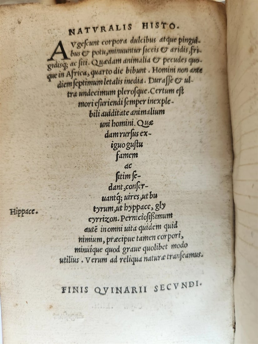 1565 PLINIUS encyclopaedia of natural history 5 VELLUM BOUND VOLUMES 16c ANTIQUE - 9