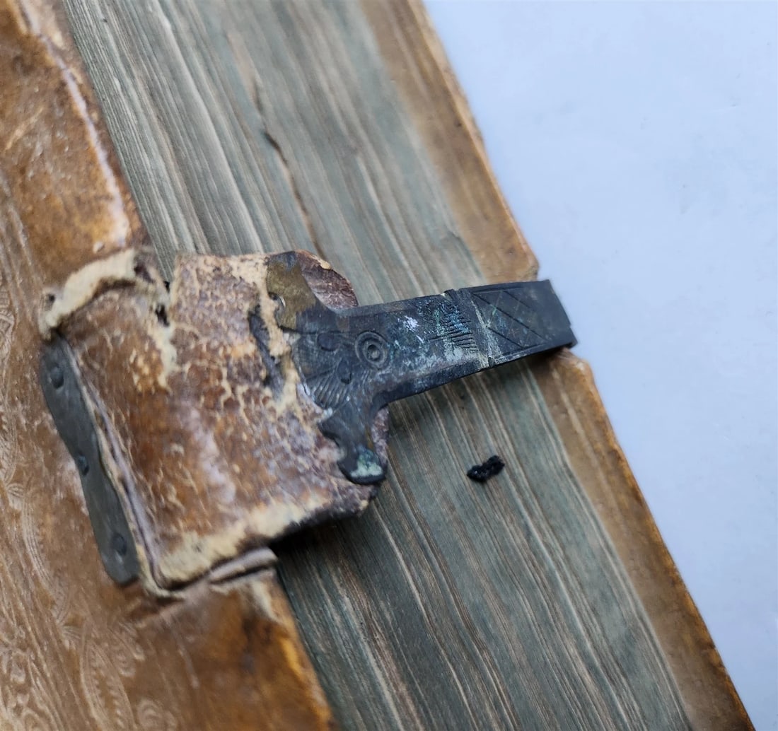 1575 Sacrae bibliothecae sanctorum patrum16th cent. ANTIQUE PIGSKIN BOUND FOLIO - 13