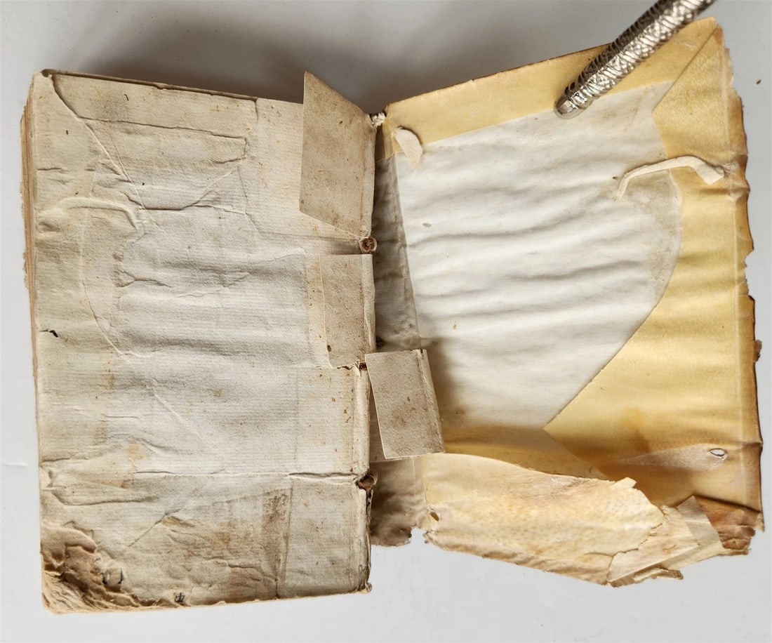 1596 MEDICAL TREATISE by ANDRE du LAURENS antique VELLUM BOUND - 8