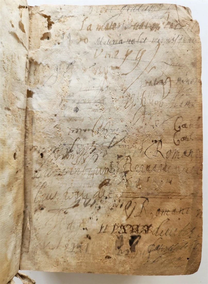 1540 ALDINE PRESS CICERO antique VELLUM 16th century RARE - 10
