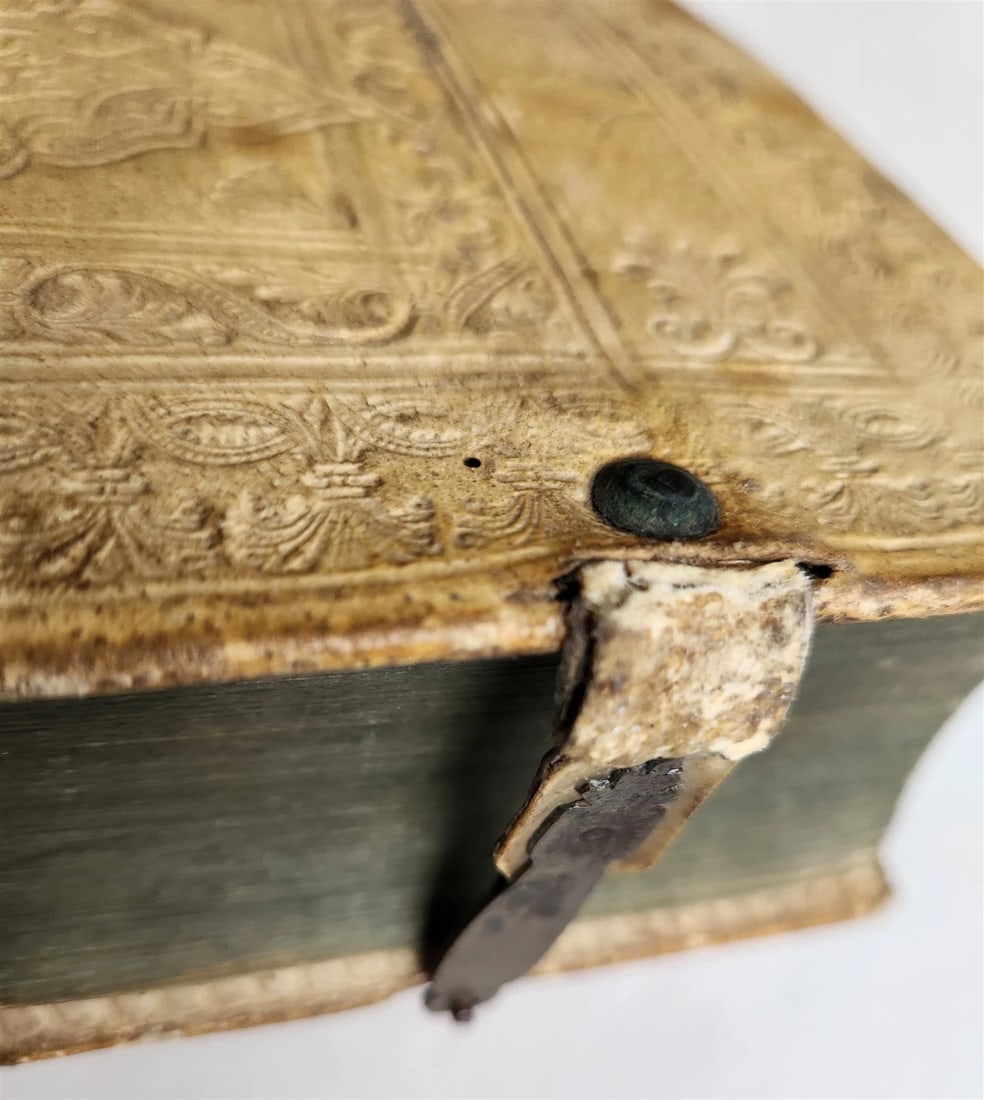 1697 BELAGERUNG DER MERZLICHEN HAUPT-STADT in ENGELLAND antique PIGSKIN - 13