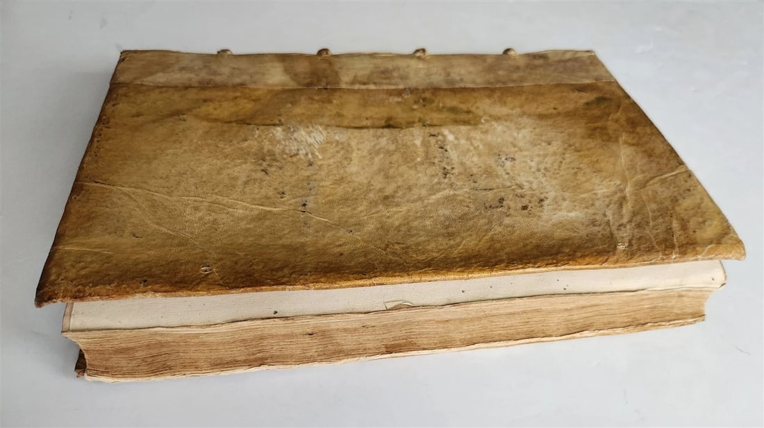 1582 LAW BOOK by Simon de Praetis Patricii, of Pisa antique VELLUM BOUND FOLIO - 3