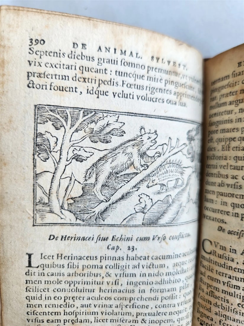 1557 DESCRIPTION of NORTHERN PEOPLE by O. MAGNUS antique ILLUSTRATED SCANDINAVIA - 17