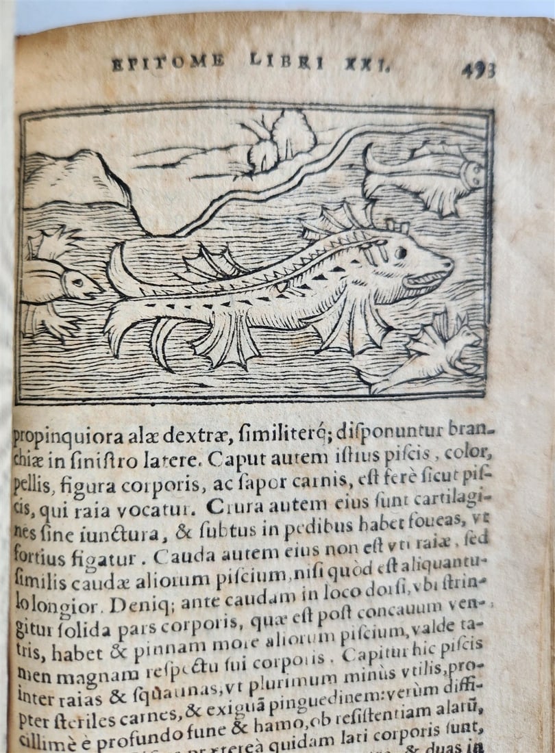 1557 DESCRIPTION of NORTHERN PEOPLE by O. MAGNUS antique ILLUSTRATED SCANDINAVIA - 18