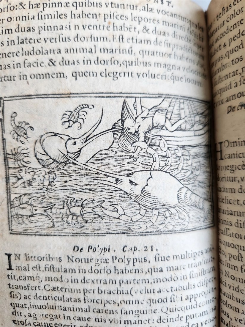 1557 DESCRIPTION of NORTHERN PEOPLE by O. MAGNUS antique ILLUSTRATED SCANDINAVIA - 19
