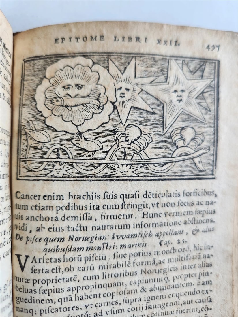 1557 DESCRIPTION of NORTHERN PEOPLE by O. MAGNUS antique ILLUSTRATED SCANDINAVIA - 20