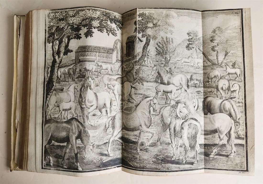 1603 Disquisitionum magicarum by Martin DEL RIO antique MAGIC TREATISE FOLIO - 10