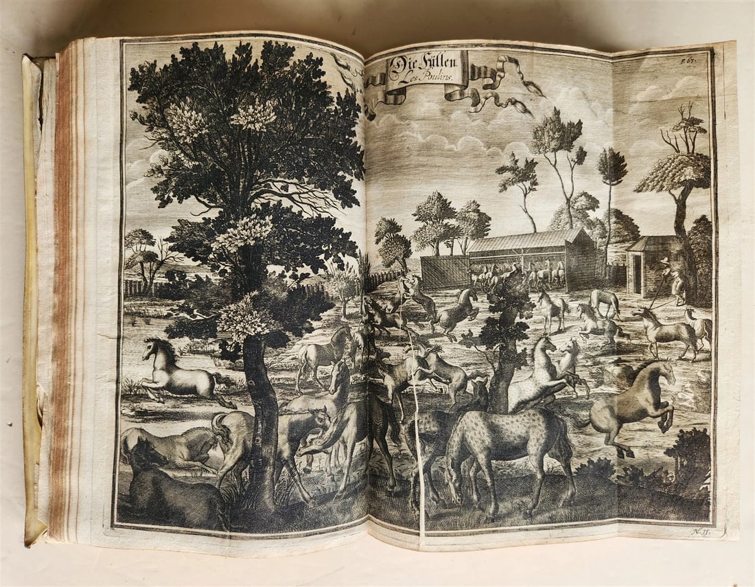 1603 Disquisitionum magicarum by Martin DEL RIO antique MAGIC TREATISE FOLIO - 11