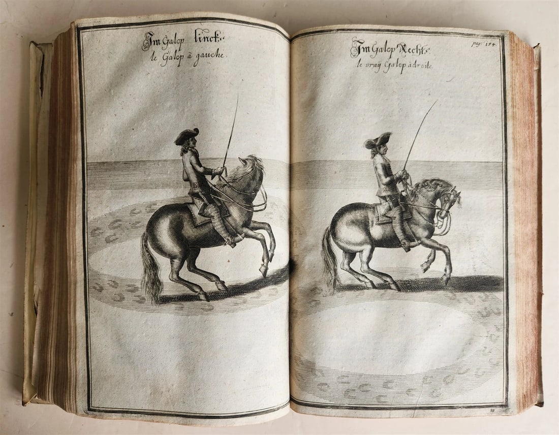 1603 Disquisitionum magicarum by Martin DEL RIO antique MAGIC TREATISE FOLIO - 13