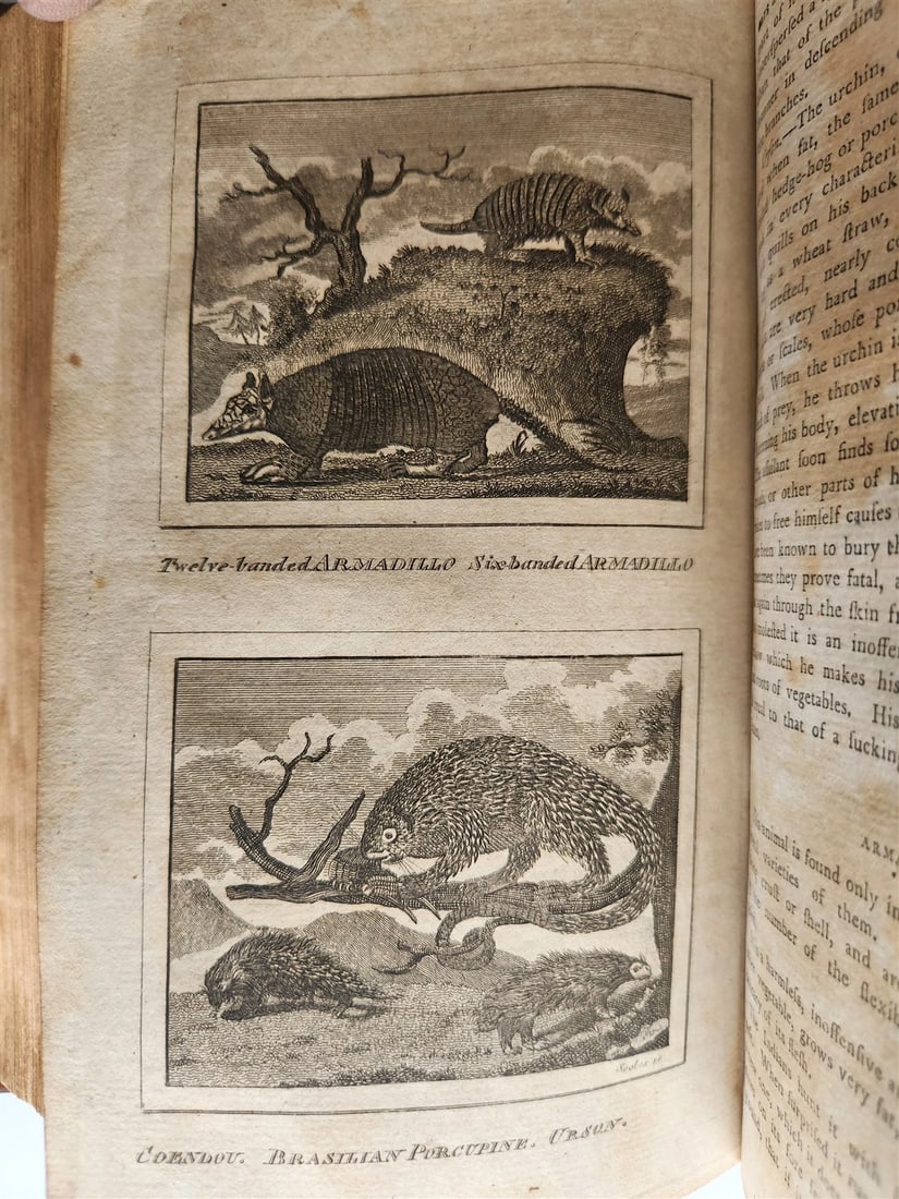 1796 Historical Geographical Commercial Philosophical View of USA 4 VOLS antique - 11