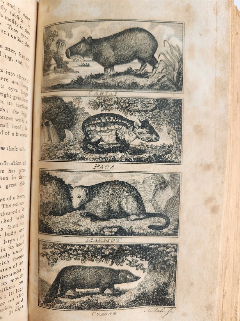 1796 Historical Geographical Commercial Philosophical View of USA 4 VOLS antique - 12