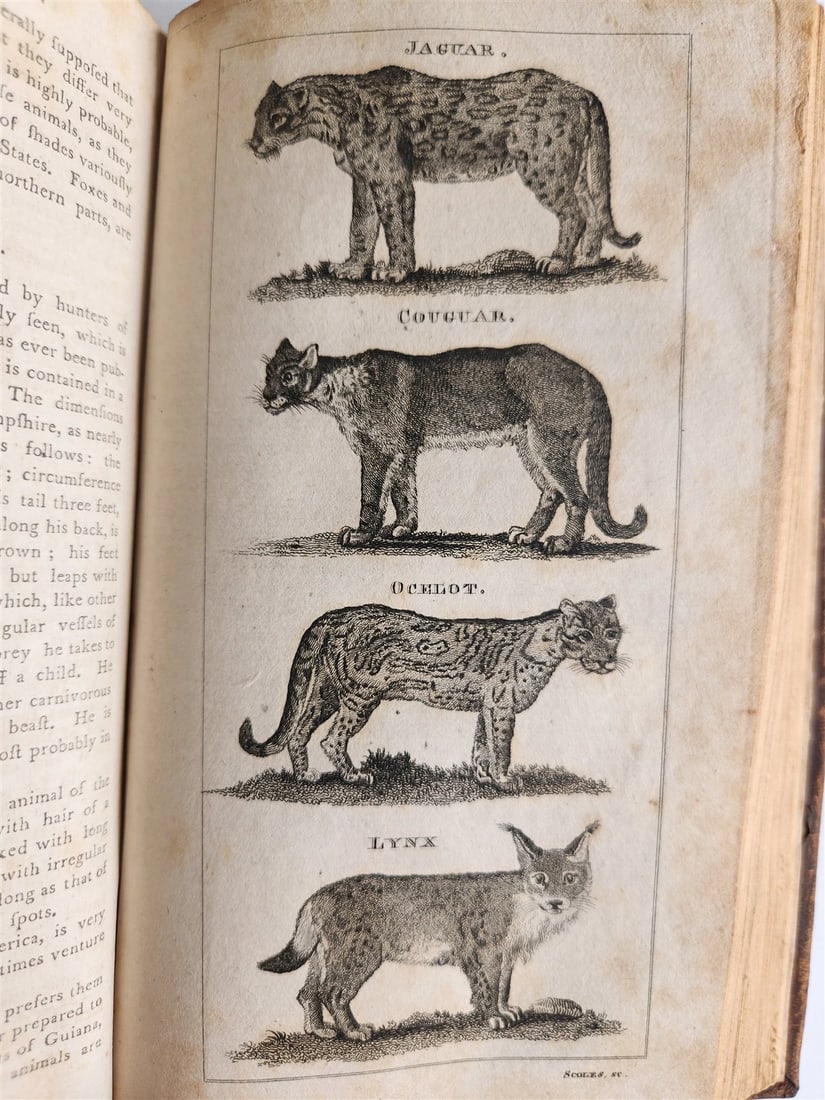 1796 Historical Geographical Commercial Philosophical View of USA 4 VOLS antique - 13