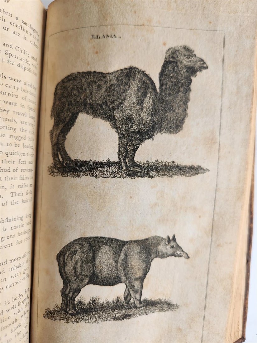 1796 Historical Geographical Commercial Philosophical View of USA 4 VOLS antique - 16