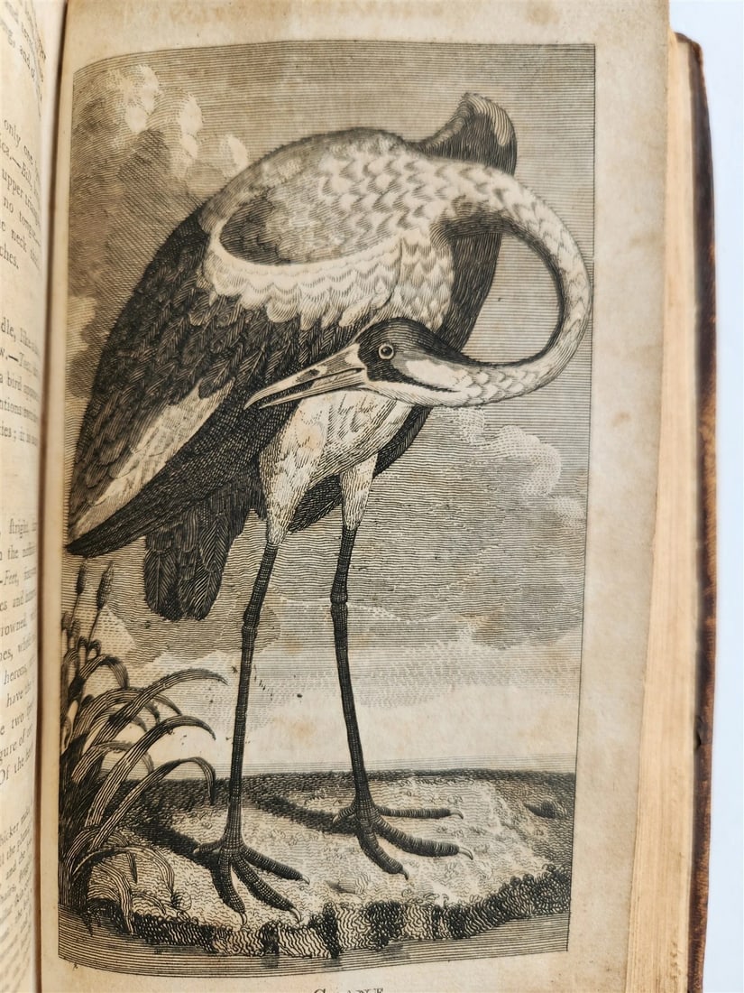 1796 Historical Geographical Commercial Philosophical View of USA 4 VOLS antique - 7