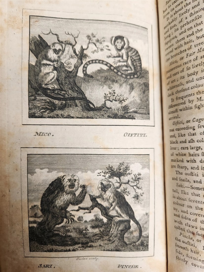 1796 Historical Geographical Commercial Philosophical View of USA 4 VOLS antique - 9