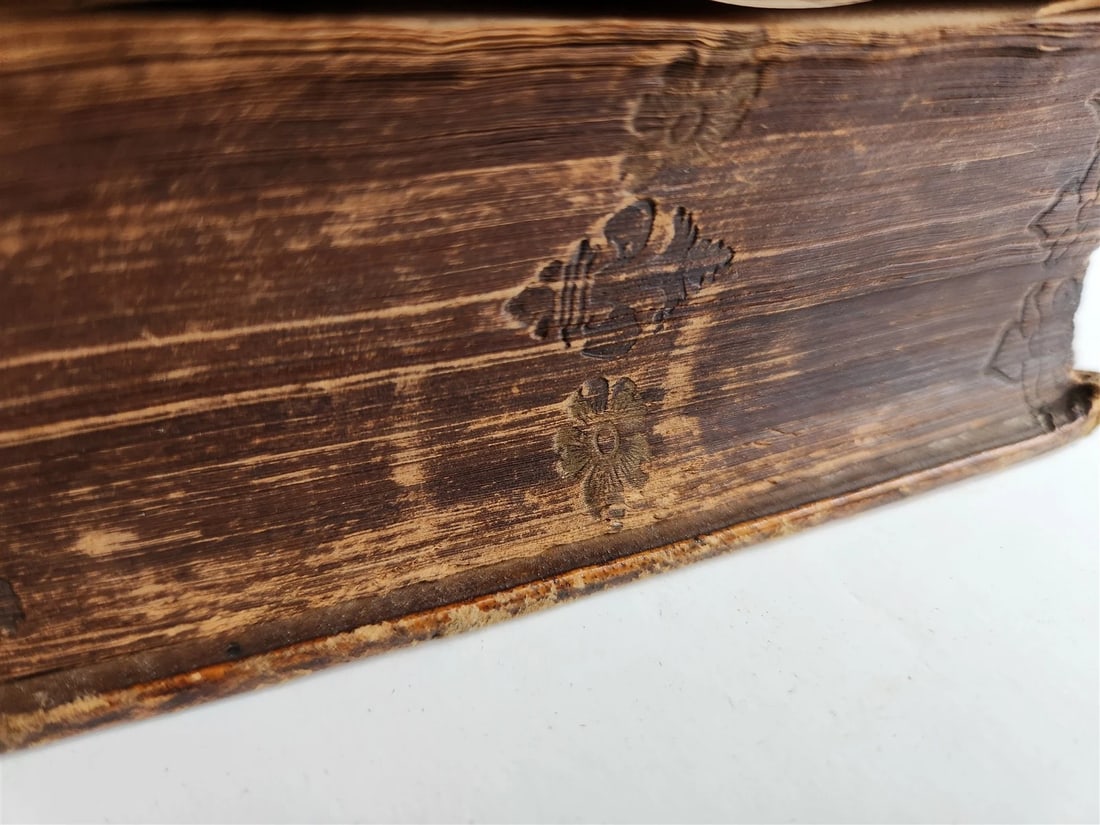 1566 PLUTARCH Parallel Lives of Illustrious Greeks & Romans ANTIQUE pigskin - 9