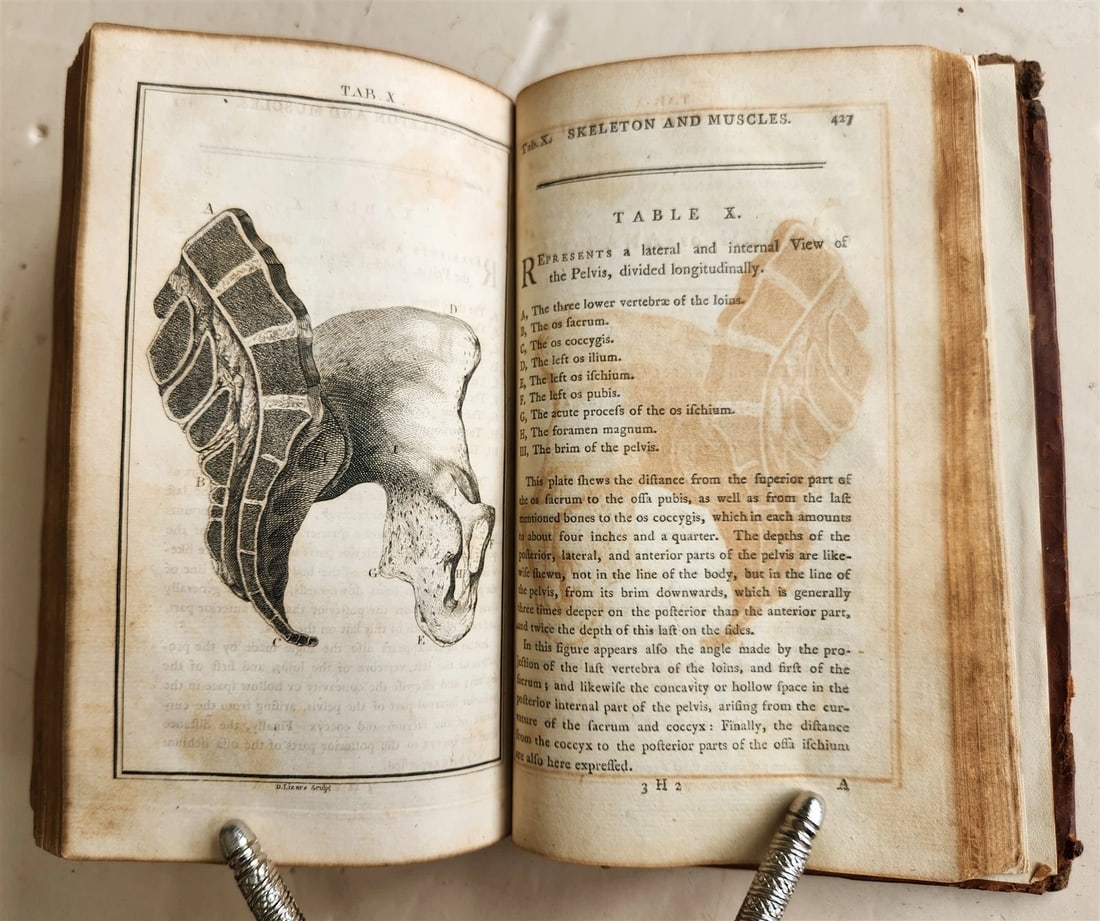 1791 System of Anatomy & Physiology ANTIQUE 3 vols. ILLUSTRATED - 10