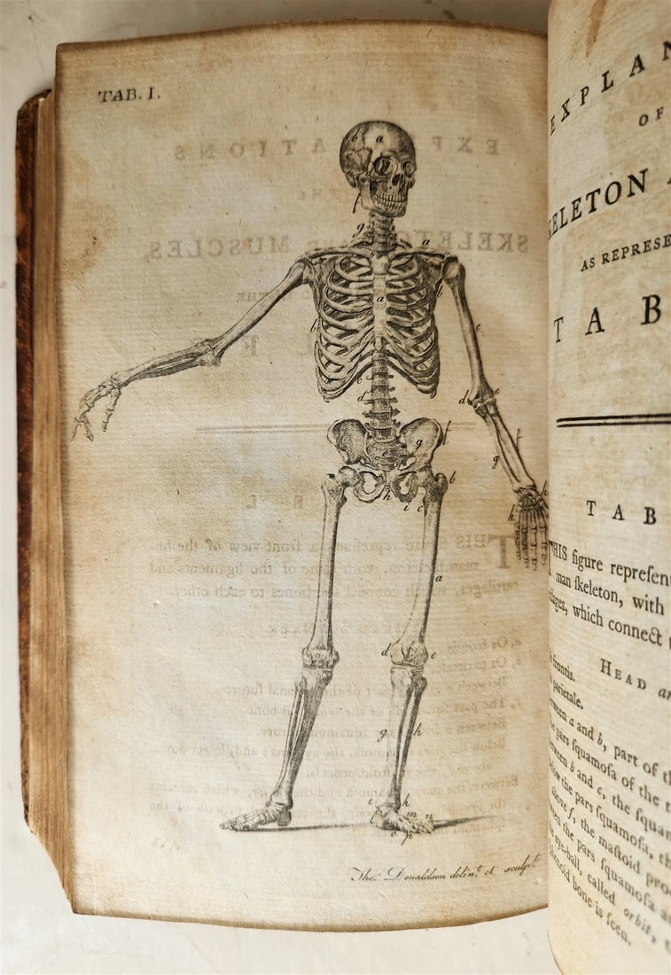 1791 System of Anatomy & Physiology ANTIQUE 3 vols. ILLUSTRATED - 11