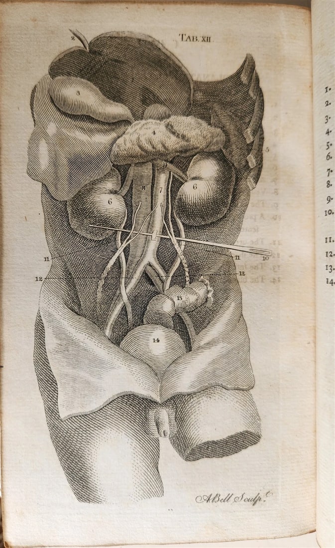 1791 System of Anatomy & Physiology ANTIQUE 3 vols. ILLUSTRATED - 14