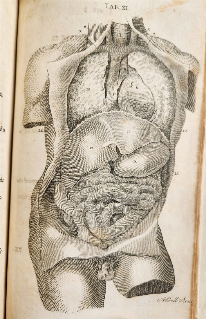 1791 System of Anatomy & Physiology ANTIQUE 3 vols. ILLUSTRATED - 16