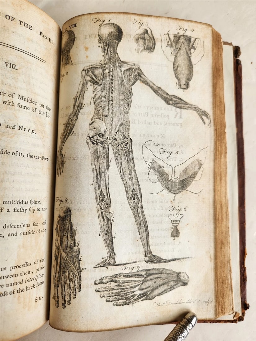 1791 System of Anatomy & Physiology ANTIQUE 3 vols. ILLUSTRATED - 3