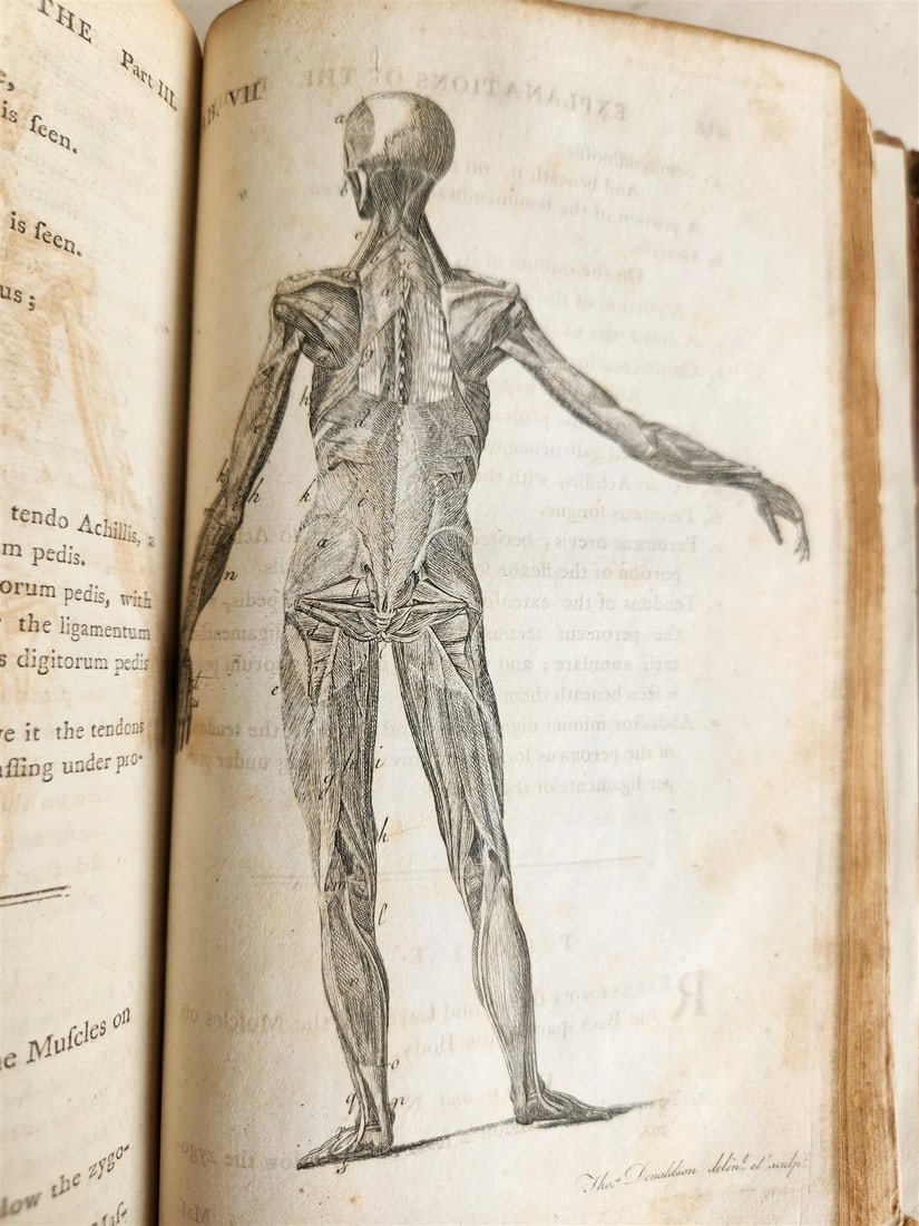 1791 System of Anatomy & Physiology ANTIQUE 3 vols. ILLUSTRATED - 4