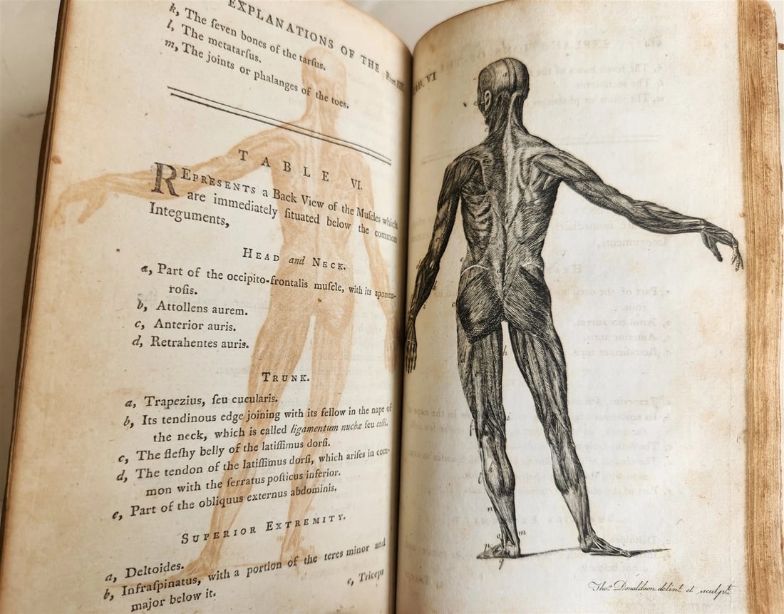 1791 System of Anatomy & Physiology ANTIQUE 3 vols. ILLUSTRATED - 5