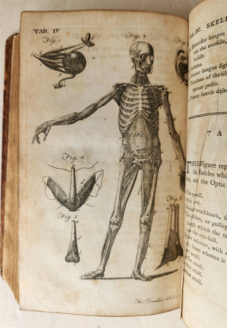 1791 System of Anatomy & Physiology ANTIQUE 3 vols. ILLUSTRATED - 7
