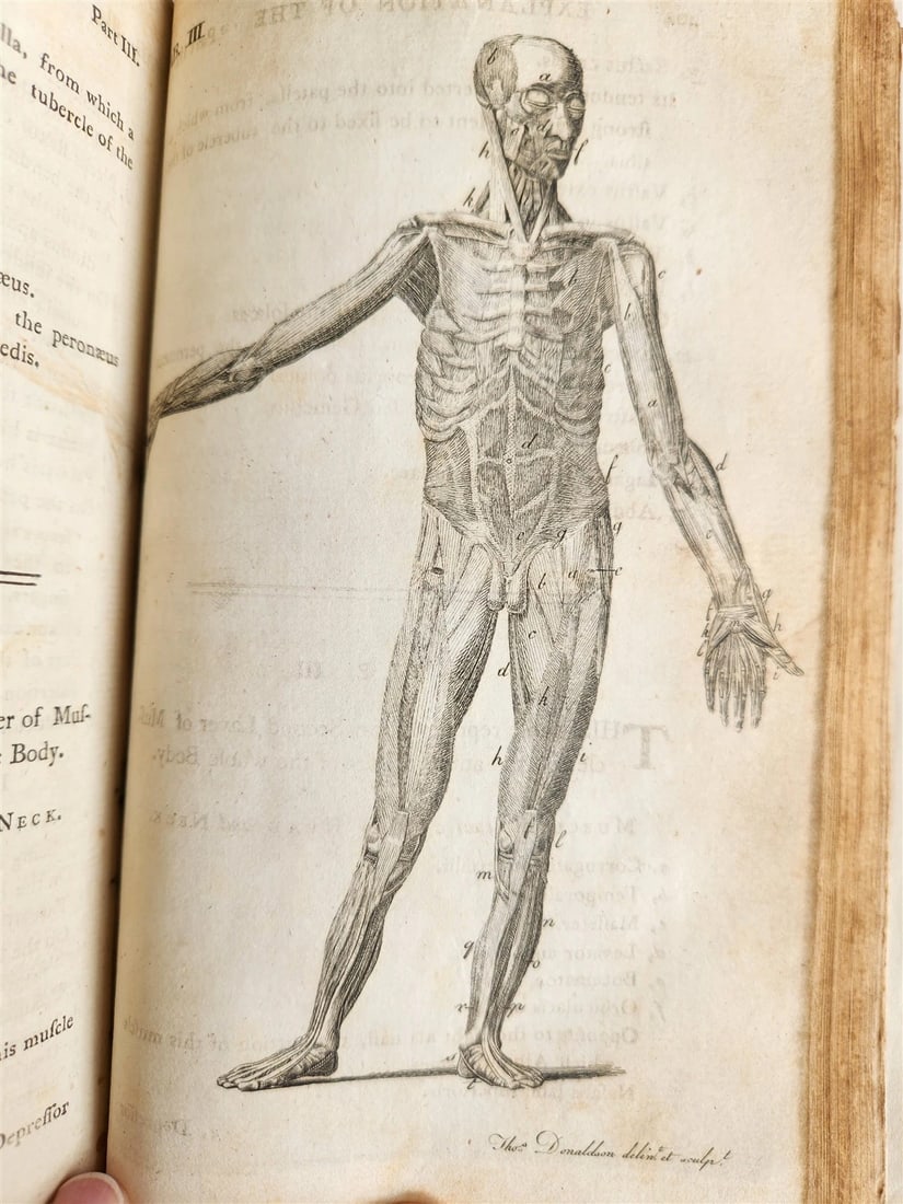 1791 System of Anatomy & Physiology ANTIQUE 3 vols. ILLUSTRATED - 8