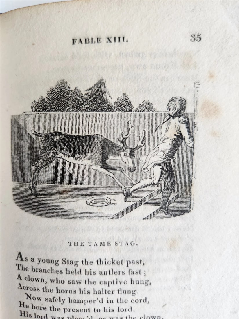 1820 FABLES by JOHN GAY antique in ENGLISH illustrated - 9