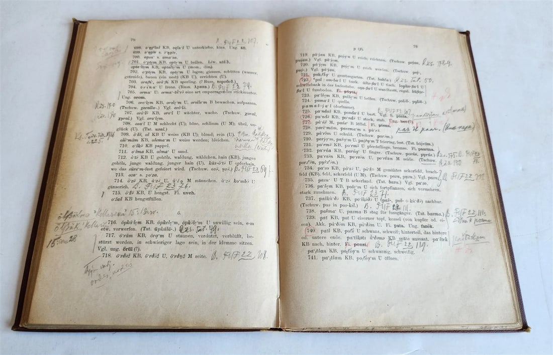 1923 Finno-Ugric Languages treatise antique - 5