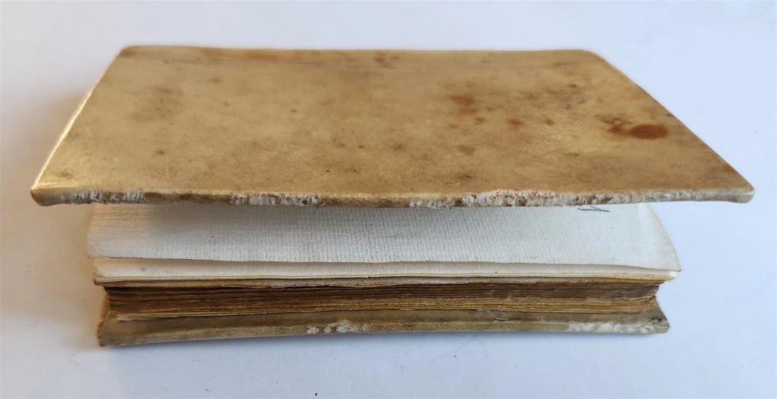 1518 POST-INCUNABULA ST.AUGUSTINE SERMONS antique 16th CENTURY vellum RARE - 5