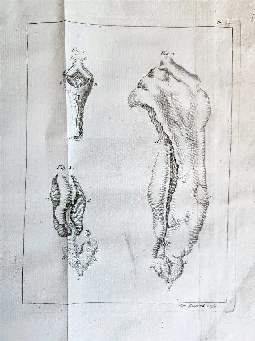 1749 MEDICAL TREATISE ILLUSTRATED ANATOMY by Francois PLANQUE antique V. 2 - 15