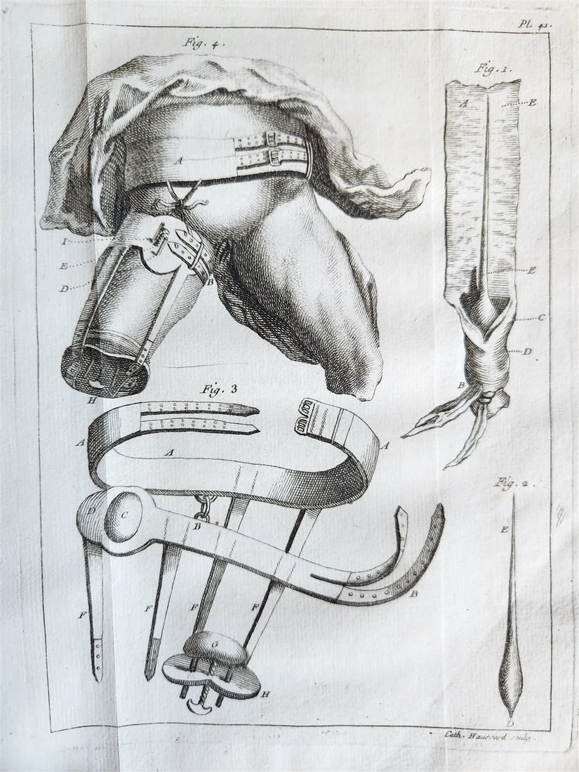 1749 MEDICAL TREATISE ILLUSTRATED ANATOMY by Francois PLANQUE antique V. 2 - 16