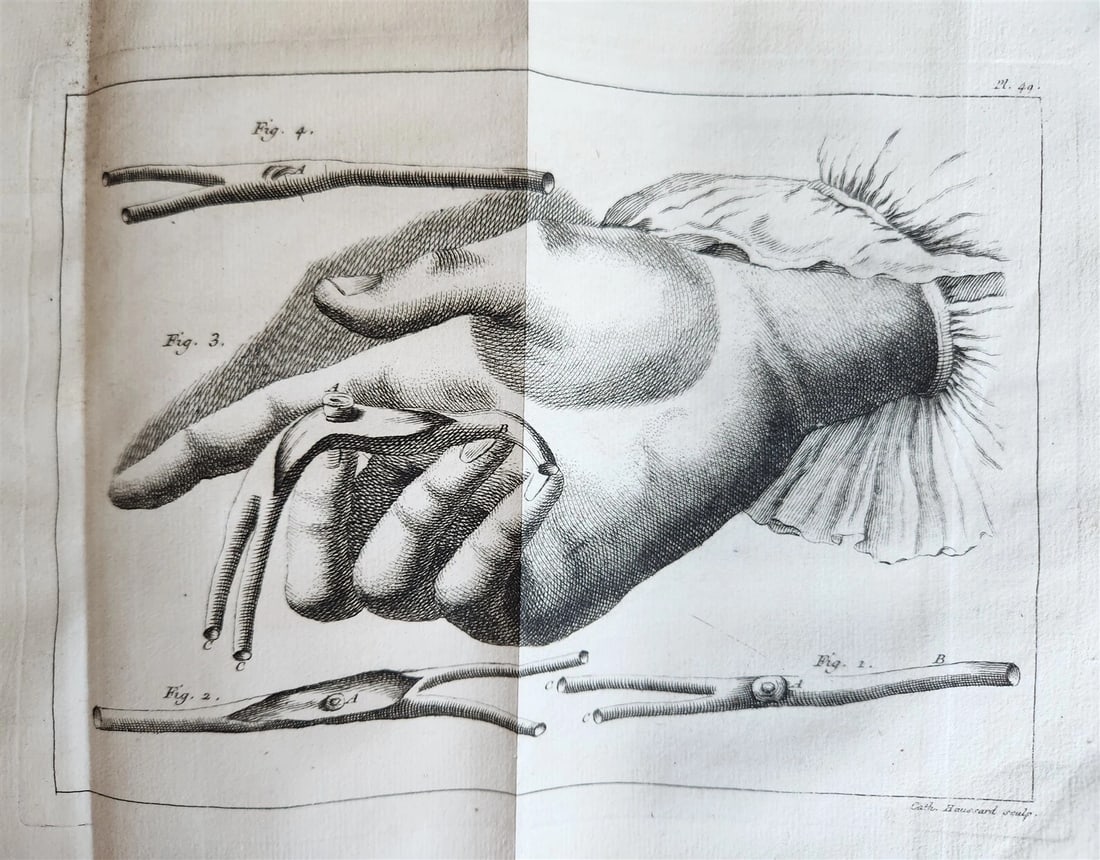 1749 MEDICAL TREATISE ILLUSTRATED ANATOMY by Francois PLANQUE antique V. 2 - 17