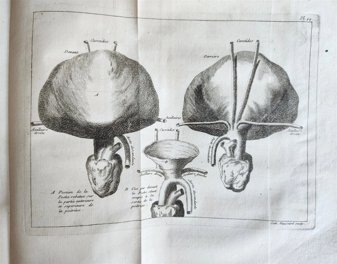 1749 MEDICAL TREATISE ILLUSTRATED ANATOMY by Francois PLANQUE antique V. 2 - 18