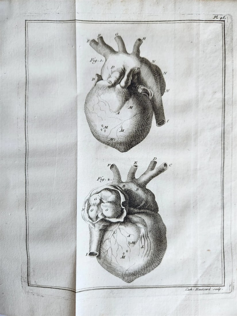 1749 MEDICAL TREATISE ILLUSTRATED ANATOMY by Francois PLANQUE antique V. 2 - 19