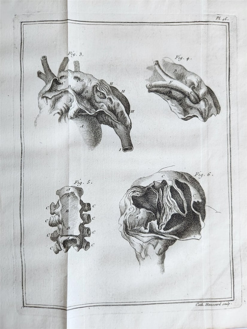 1749 MEDICAL TREATISE ILLUSTRATED ANATOMY by Francois PLANQUE antique V. 2 - 20