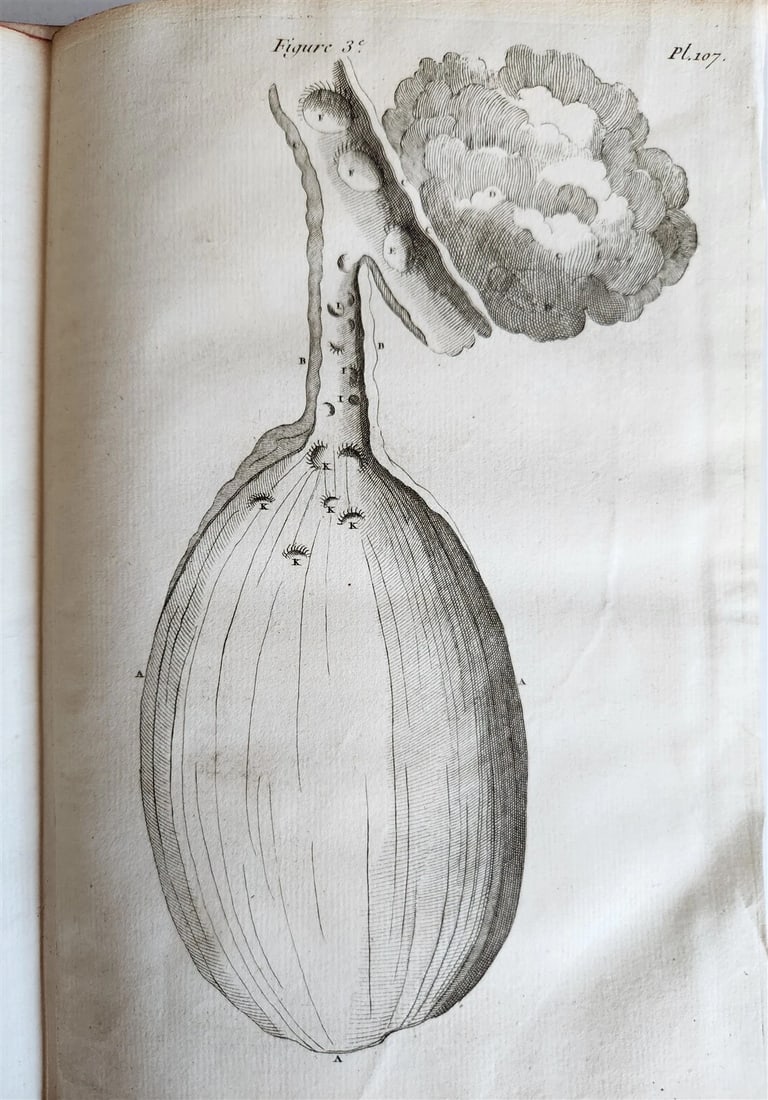 1759 MEDICAL TREATISE ILLUSTRATED ANATOMY by Francois PLANQUE antique V. 5 - 15