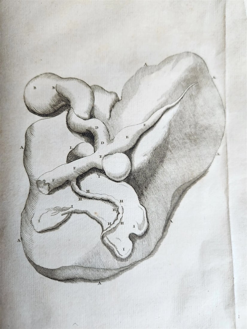 1759 MEDICAL TREATISE ILLUSTRATED ANATOMY by Francois PLANQUE antique V. 5 - 6