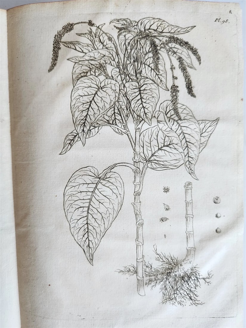 1759 MEDICAL TREATISE ILLUSTRATED ANATOMY by Francois PLANQUE antique V. 5 - 7