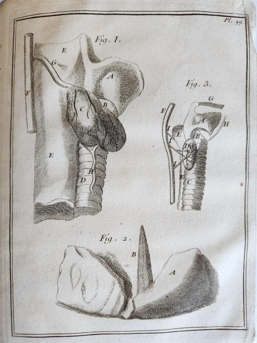1759 MEDICAL TREATISE ILLUSTRATED ANATOMY by Francois PLANQUE antique V. 5 - 8