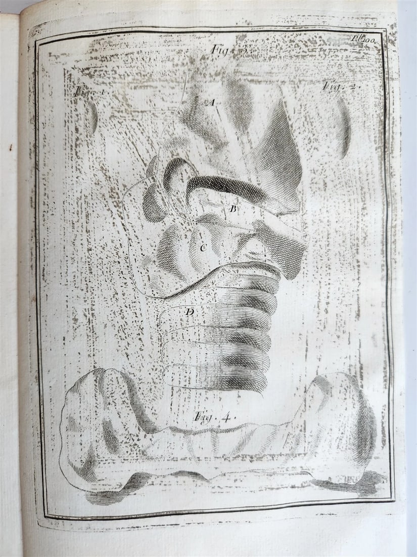 1759 MEDICAL TREATISE ILLUSTRATED ANATOMY by Francois PLANQUE antique V. 5 - 9