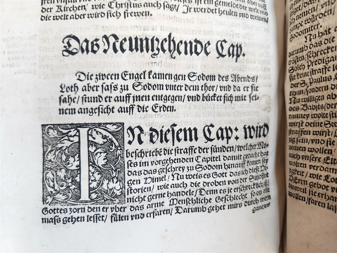 1558 MARTIN LUTHER WORKS PIGSKIN BOUND FOLIO in GERMAN antique - 12