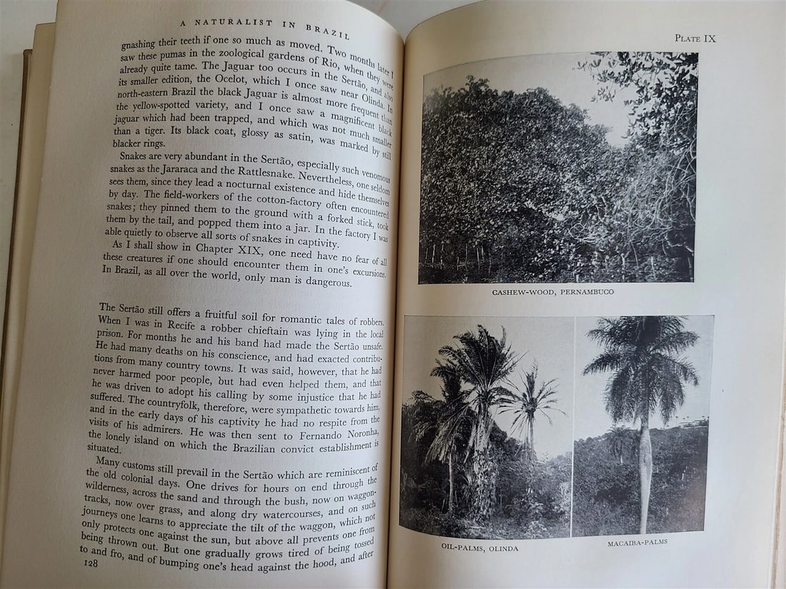 1931 A NATURALIST in BRAZIL by KONRAD GUENTHER vintage ILLUSTRATED - 6