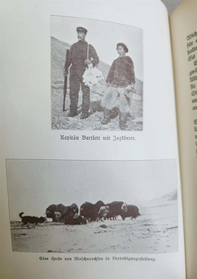 1910 DISCOVERY of NORTH POLE by ROBERT PEARY in GERMAN antique ILLUSTRATED - 14