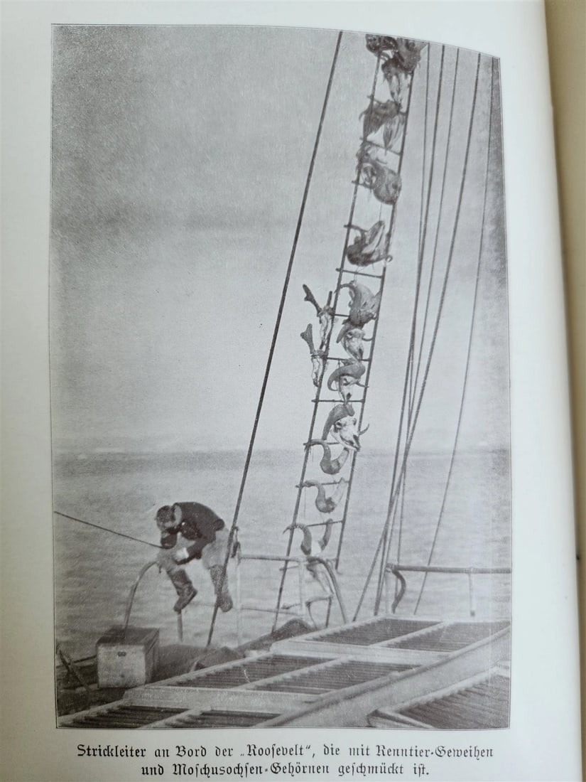 1910 DISCOVERY of NORTH POLE by ROBERT PEARY in GERMAN antique ILLUSTRATED - 16