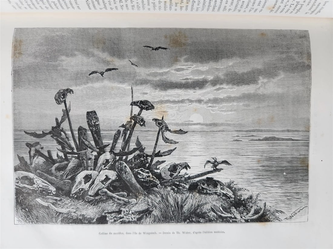 1882 HISTORY of VOYAGES ILLUSTRATED antique CAUCASUS VENEZUELA SYRIA BELGIUM - 15